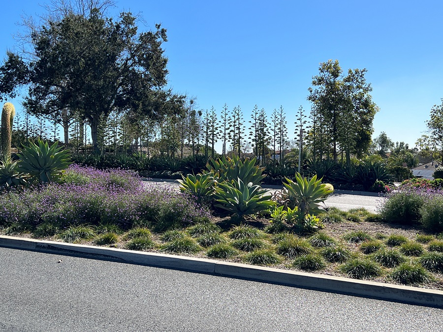 Oak Knoll Village Ladera Ranch